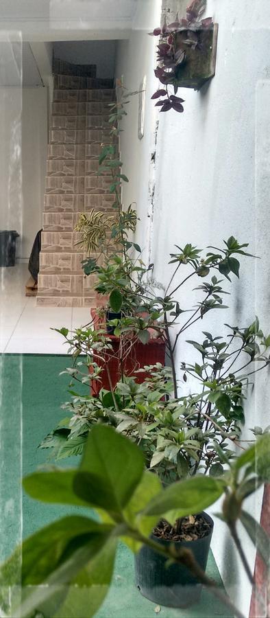 Casa Dos Avos Apartman Ubatuba Kültér fotó